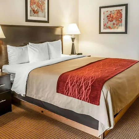 Quality Inn & Suites Farmington-3