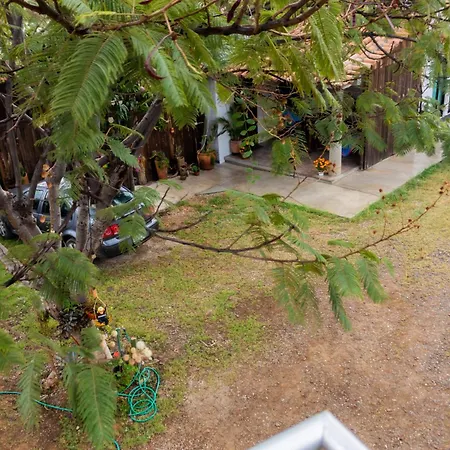 Casa Biznaga-3