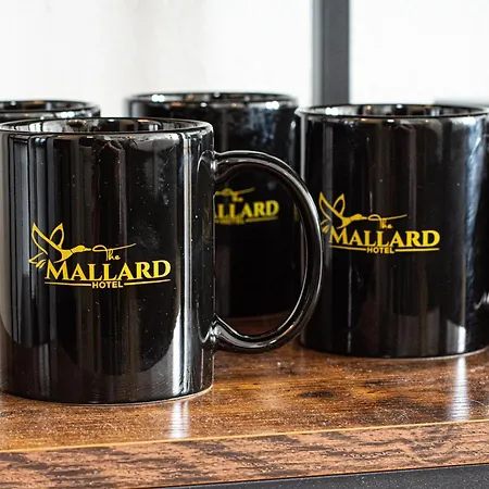 The Mallard Hotel & Suites-3