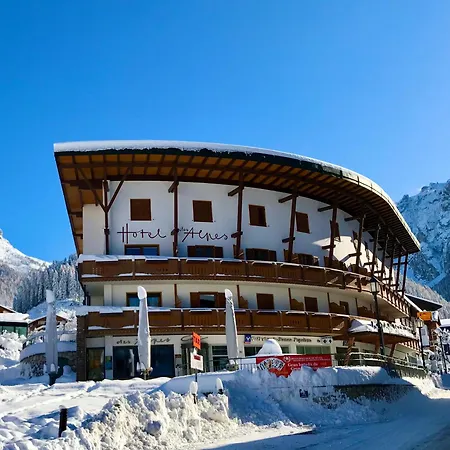 Hotel Des Alpes-2