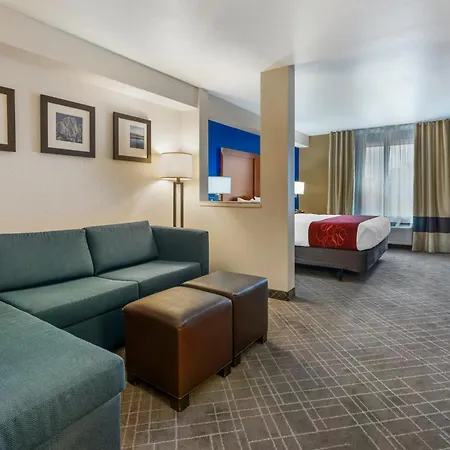 Comfort Suites Redding - Shasta Lake-3