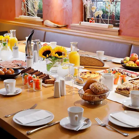 Zum Goldenen Ochsen, Hotel&Gasthaus am Schlossgarten-2