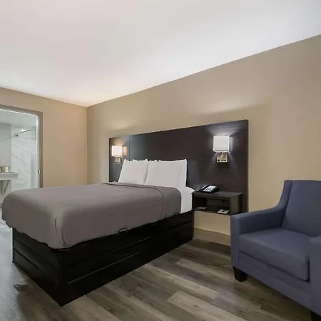 Quality Inn & Suites Altamonte Springs Orlando-North-3