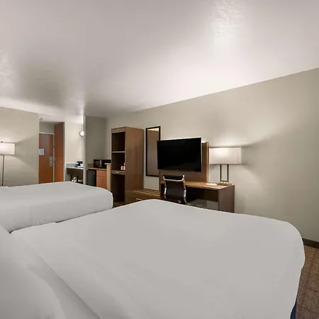 Comfort Inn & Suites Fenton-3