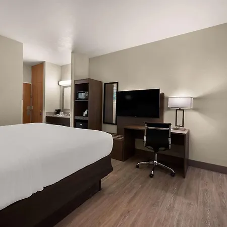 Comfort Inn & Suites Fenton-2