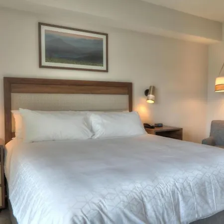 Holiday Inn & Suites Pigeon Forge Convention Center By Ihg-3