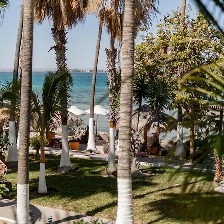 La Concha Beach Hotel & Club-2