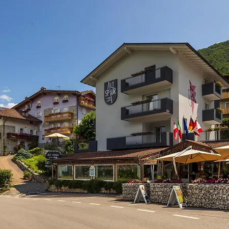 Hotel Alt Spaur-2