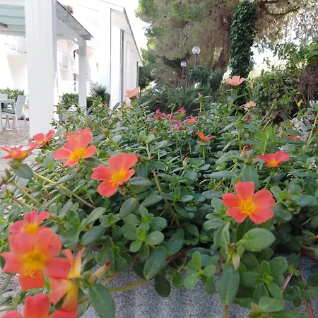 Raggio Di Sole-2