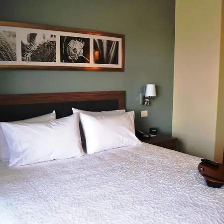Hampton Inn & Suites By Hilton Salamanca Bajio-3