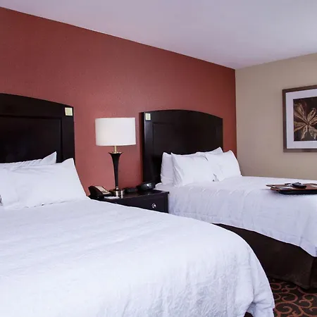 Hampton Inn & Suites Dickinson Nd-3