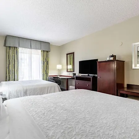 Hampton Inn & Suites Orlando-South Lake Buena Vista-2