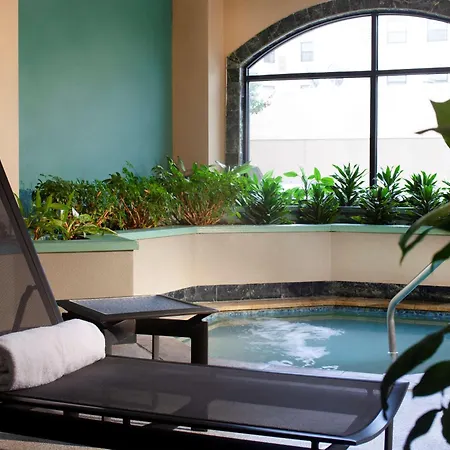Embassy Suites By Hilton Houston Near The Galleria-2