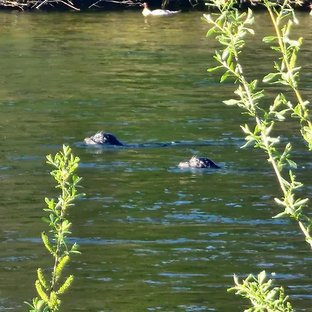 Campbell River Lodge-2