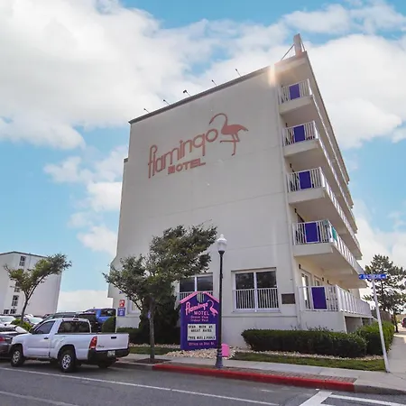 Flamingo Motel-3