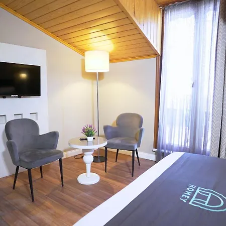 Homey Airport Hotel-2