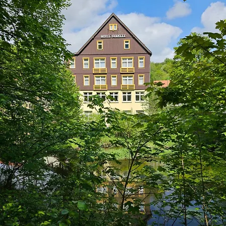 GreenLine Ferienhotel Forelle-2