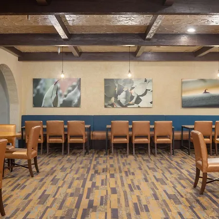 Doubletree Suites By Hilton Tucson-Williams Center-2