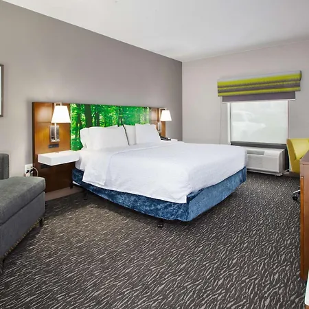 Hampton Inn Clarion-3