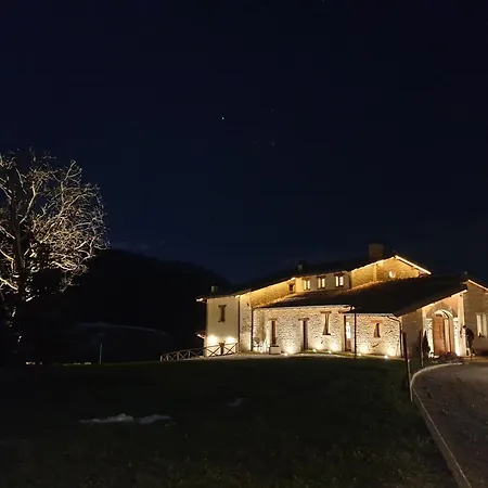 Aura Relais-3