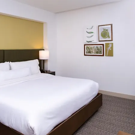 Element By Marriott Lexington-2