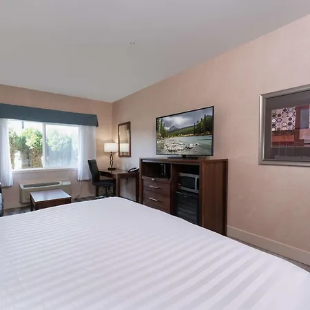 Prestige Cranbrook Hotel, BW Premier Collection-3