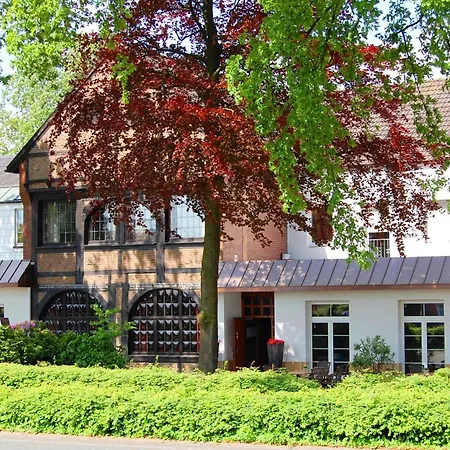 Landidyll Wilminks Parkhotel-3