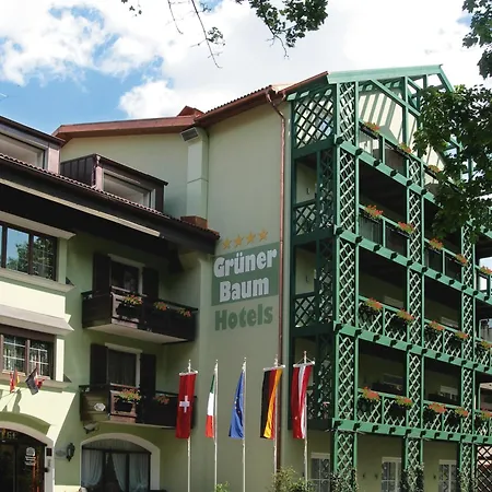 Hotel Gruener Baum-3