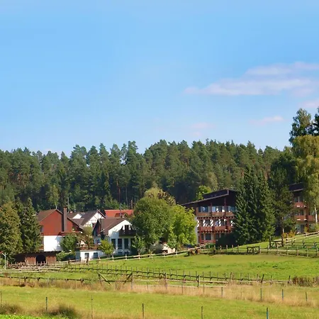 Waldhotel Bächlein-3