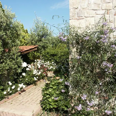 Residence Baia Infreschi-3
