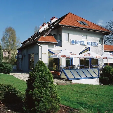 Hotel Olesno-3