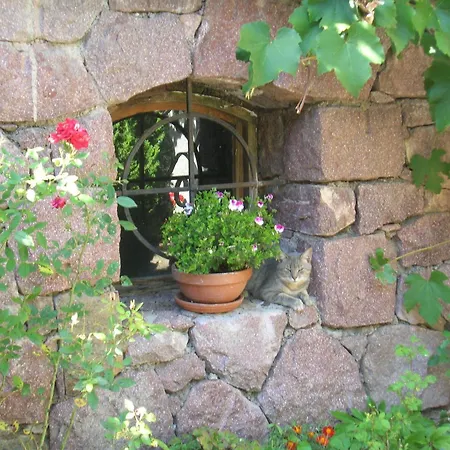 Gasthof Tschoetscherhof-2