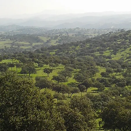 El Añadío-3