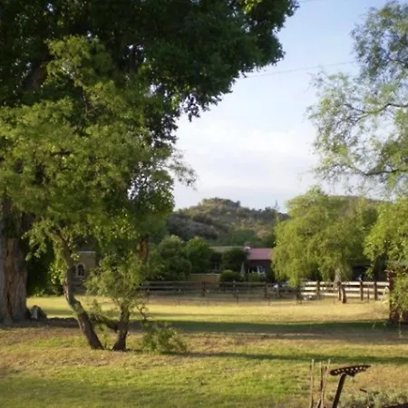 Spirit Tree Inn B&B-3