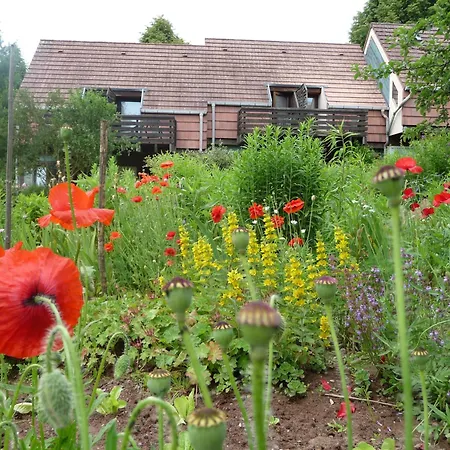 Alsace Village-2