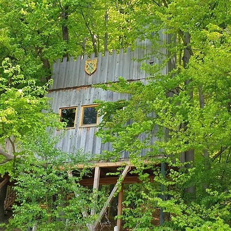 Baumhaushotel Solling-2