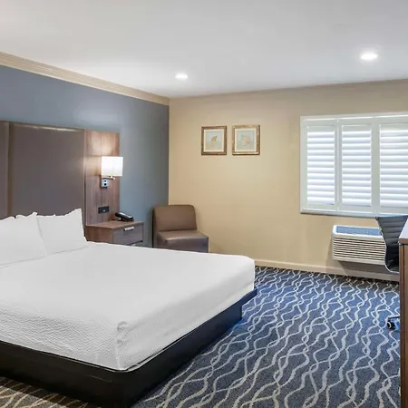 Best Western Plus Hill House-2