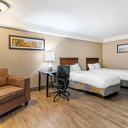 Black Bear Inn, An Ascend Collection Hotel-2