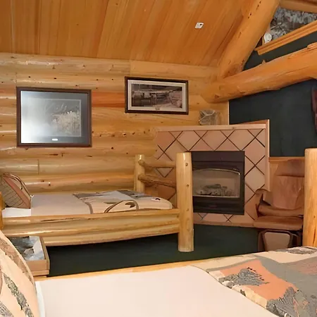 Hibernation Station-3