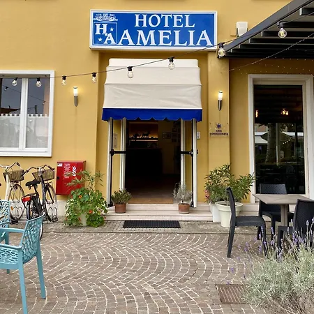 Hotel Amelia-2
