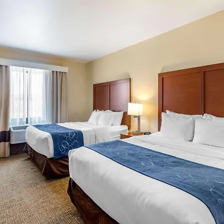 Comfort Suites Near Denver Downtown-2