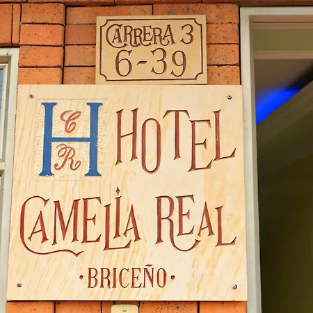 Hotel Camelia Real Briceño-3