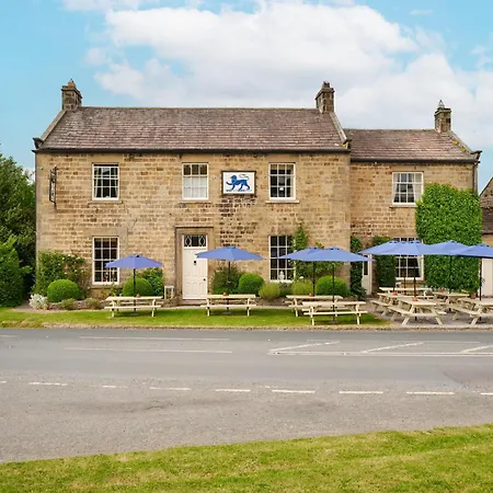 The Blue Lion-2
