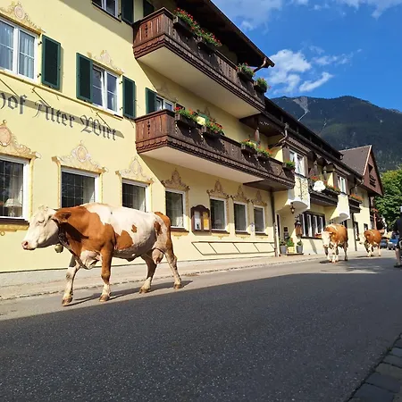 Hotel Gasthof Alter Wirt-2
