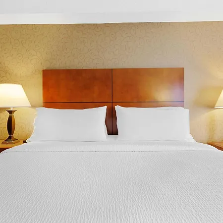 Sandman Hotel & Suites London Downtown-2