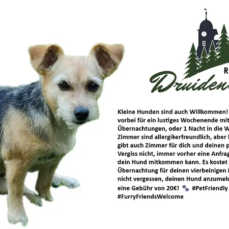 Hotel-Restaurant Druidenstein-3