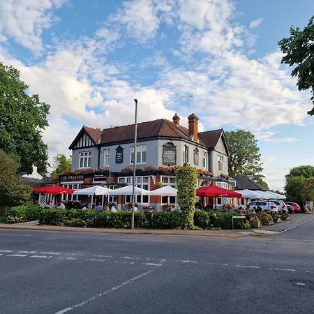 Jose Pizarro The Swan Inn-2