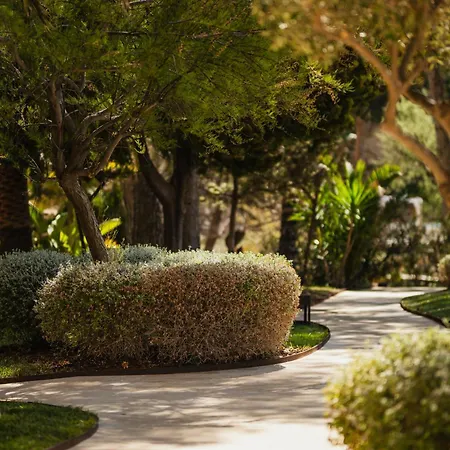Secrets Mallorca Villamil Resort & Spa - Adults Only-3