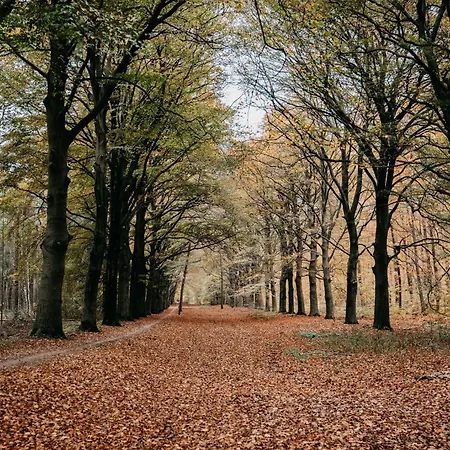 De Kastanjehof-2