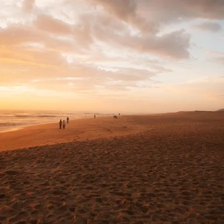 Ohai Nazare Outdoor Resort-2